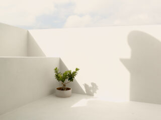 Attic AT